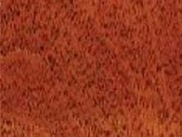 Red Mahogany Red Mahogany